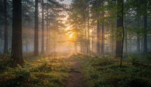 Hochsensibilität: Deutsche Psychologen erkennen sie 2026 erstmals offiziell als Persönlichkeitsmerkmal an